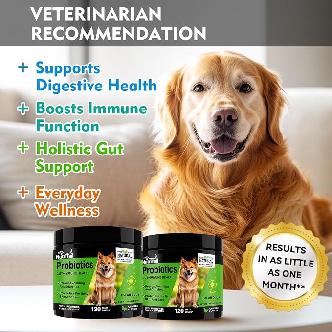 Probiotics for Dogs – Digestive & Immune Support Soft Chews with Prebiotics, Fiber & Enzymes – Relieves Diarrhea, Gas & Itchy Skin – Chicken Flavor Dog Supplement, 120 Chews