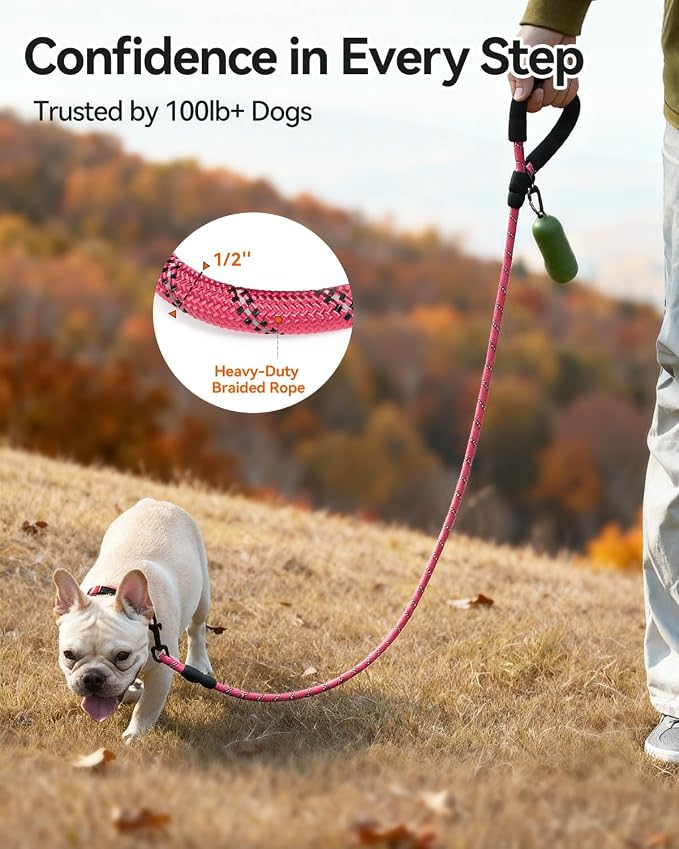 Joytale Rope Dog Leash for Small Dogs, Padded Handle, 5FT, Pink | Reinforced Nylon Webbing, Comfort Grip Eases Hand Strain, Swivel Clip Prevents Tangles, Visible at Night, for Outdoor Walks