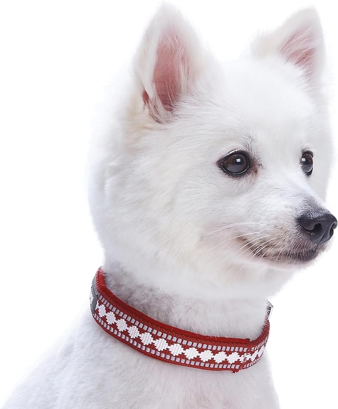 Blueberry Pet Reflective Jacquard Dog Collar with Neoprene Padding & Metal Buckle | Soft & Adjustable Safety Collar - Marsala Red, Neck 9-12.5", for Small Breed