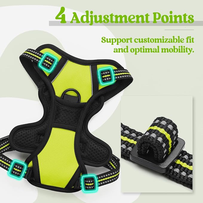 rabbitgoo Dog Harness No Pull with 2 Leash Clips, Adjustable Soft Padded, Reflective Oxford No Choke Pet Vest with Easy Control Handle for Puppy, Green, XS | No Choke with Handle, Adjustable Soft Padded, Reflective, Easy Control for Walking, Wild Lime,...