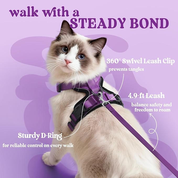 rabbitgoo Cat Harness and Leash Set, Escape Proof Vest, Purple | Soft Breathable Mesh, Easy Adjustable Fit, Snap Buckles, Sturdy Clip, Reflective Strips, for Medium to Large Cats Walks, M