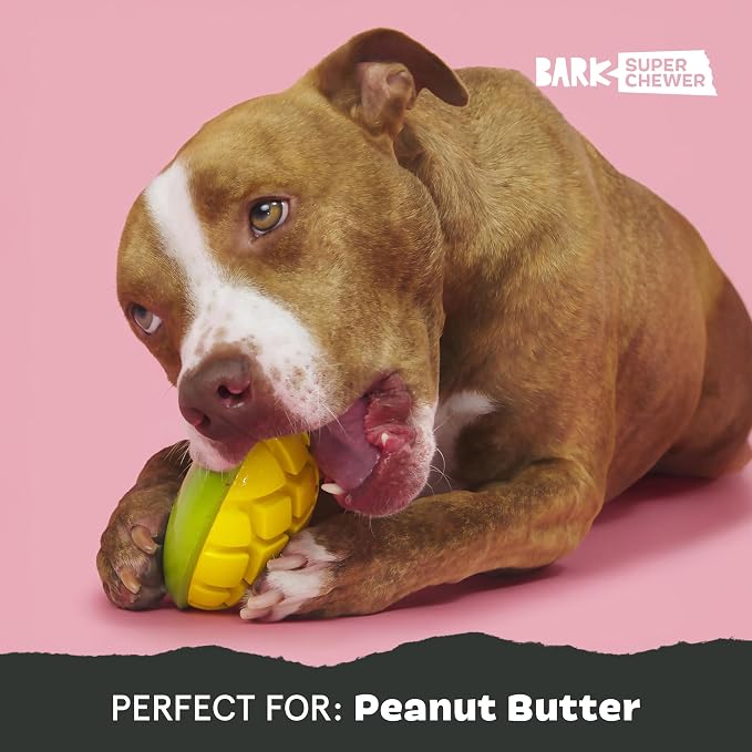 BarkBox Go Mango Tough Squeaky Rubber Dog Toy - Large | Candy-Scented, Durable Design for Long-Lasting, Squeaky Fun - Breeds