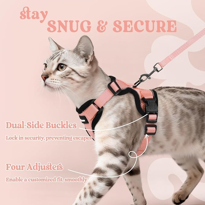 rabbitgoo Cat Harness and Leash Set, Escape Proof Vest, Light Salmon Pink | Soft Breathable Mesh, Easy Adjustable Fit, Snap Buckles, Sturdy Clip, Reflective Strips, for Small & Average Cats Walks, Xs