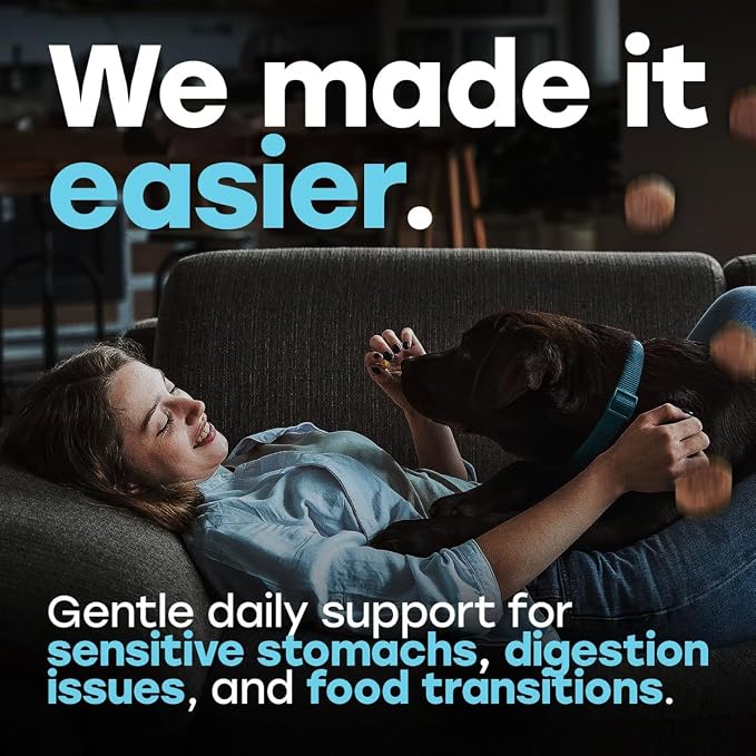 Probiotics for Dogs - Digestion, Gut Health & Firmer Stool