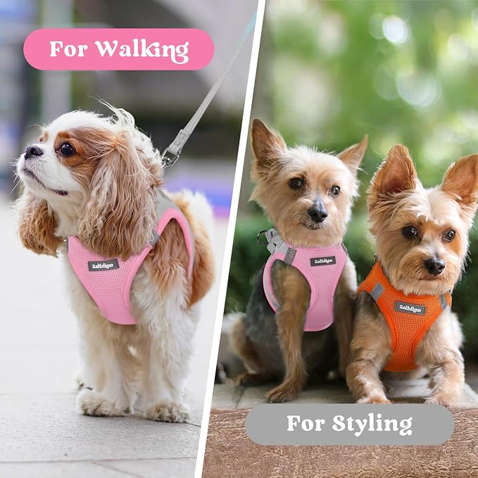 rabbitgoo Step-in Small Dog Harness, Puppy Vest for Small Sized Pet | Easy Put on and off, Lightweight, Soft, Breathable Quick-Dry Air Mesh for Comfortable Secure Walking, Light Pink & Gray XXS