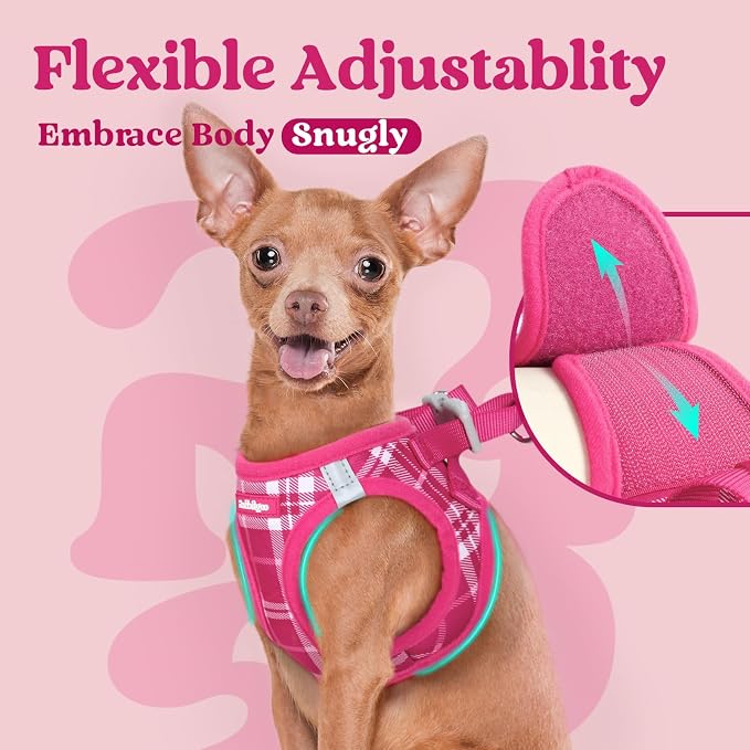 rabbitgoo Step-in Small Dog Harness, Puppy Vest for Small Sized Pet | Easy Put on and off, Lightweight, Soft, Breathable Quick-Dry Air Mesh for Comfortable Secure Walking, Rose Red Plaid XS