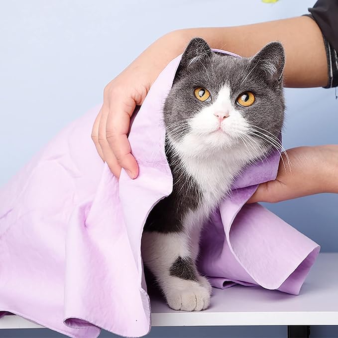 GabeFish Super Absorbent Shammy Dog Towels Quick Dry Eco-Friendly Soft Multifunctional Pets Cats Towel Packs Small 5PC