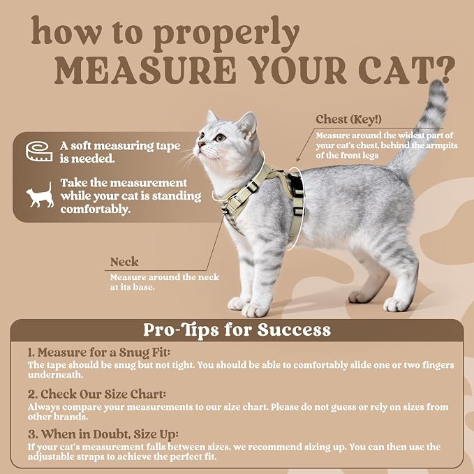 rabbitgoo Cat Harness and Leash Set, Escape Proof Vest, Foamy Coffee | Soft Breathable Mesh, Easy Adjustable Fit, Snap Buckles, Sturdy Clip, Reflective Strips, for Average Cats Walks, S