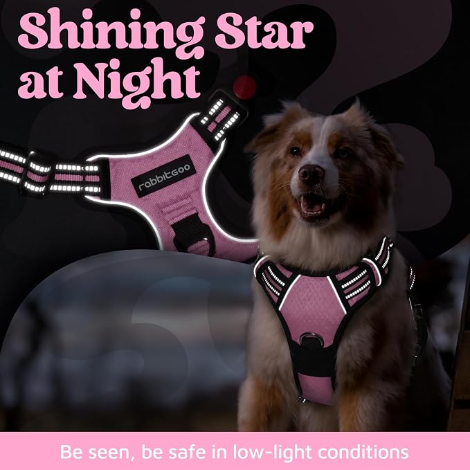rabbitgoo Dog Harness Small Sized, No Pull 3 Buckles Easy On & Off | Soft Padded, Walking with Control Handle, Adjustable and Reflective, Light Pink, Small