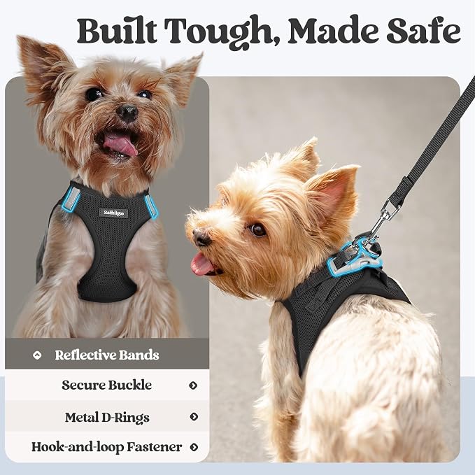 rabbitgoo Dog Harness Medium Sized and Leash Set, Step-in Puppy Pet Vest | Light, Soft, Breathable Air Mesh, Easy on and Remove with Hook & Loop, Secure Reflective for Walking, Black XXL