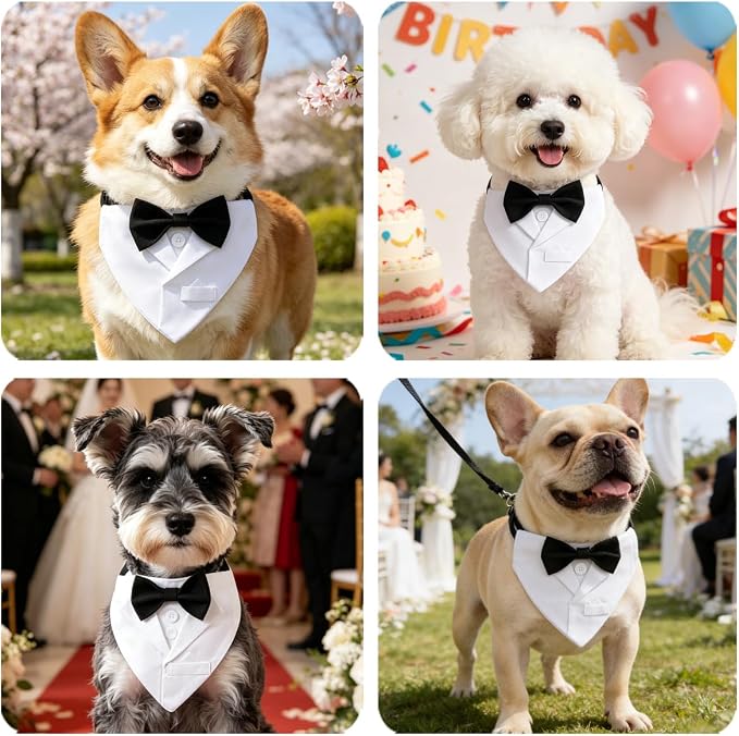 Dog Tuxedo Suit Wedding Collar, Large, White
