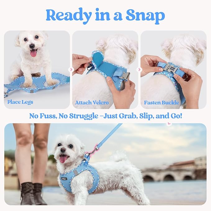rabbitgoo Dog Harness Small Sized and Leash Set, Step-in Puppy Pet Vest | Light, Soft, Breathable Air Mesh, Easy on and Remove with Hook & Loop, Secure Reflective for Walking, Blue & Plaid Trim XXS