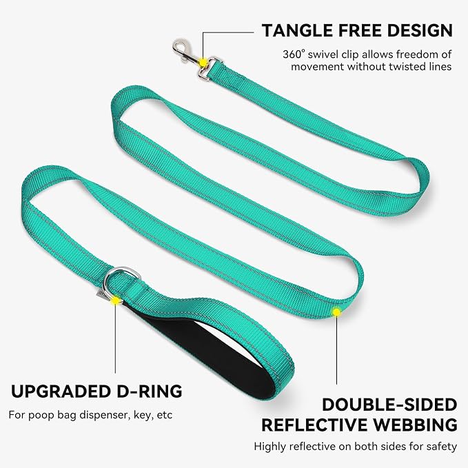 Joytale Reflective Dog Leash for Small Dogs, 5 FT x 3/4", Turquoise | Heavy Duty Nylon Webbing, Padded Handle for Comfort, Visible at Night, for Walking & Training