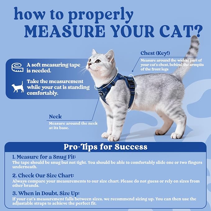 rabbitgoo Cat Harness and Leash Set, Escape Proof Vest, Cosmic Ace | Soft Breathable Mesh, Easy Adjustable Fit, Snap Buckles, Sturdy Clip, Reflective Strips, for Small & Average Cats Walks, Xs