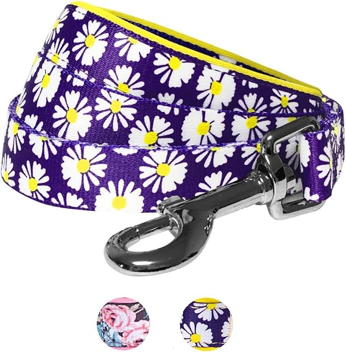 Blueberry Pet 2 Pattern Loving Daisy Prints Dog Leash with Soft & Comfortable Handle, 4 ft x 1", Large, Leashes for Dogs