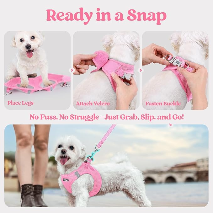 rabbitgoo Dog Harness Medium Sized and Leash Set, Step-in Puppy Pet Vest | Light, Soft, Breathable Air Mesh, Easy on and Remove with Hook & Loop, Secure Reflective for Walking, Light Pink L