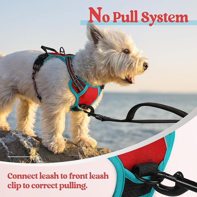 rabbitgoo Dog Harness, No Pull for Small Dogs with 2 Leash Clips, Pet Vest | No Choke with Handle, Adjustable Soft Padded, Reflective, Easy Control for Walking, Red & Teal, X-Small
