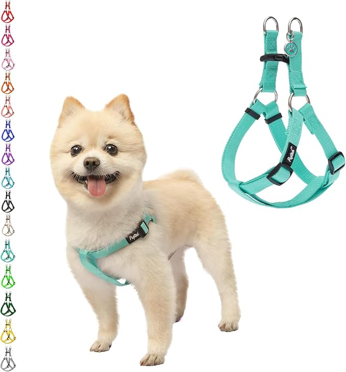 PUPTECK No Pull Dog Harness Small Sized Step-in Adjustable Puppy Vest | Soft Webbing Basic Halter with ID Tag for Outdoor Walking