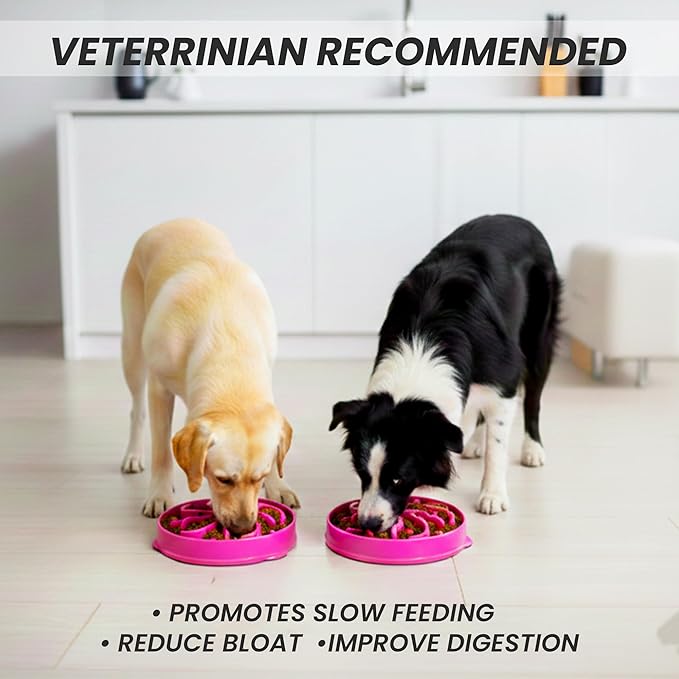 Slow Feeder Dog Bowl for Small, Medium & Large Dogs – Anti-Gulping Puzzle Maze Bowl, Non-Slip Slow Eating Dog Dish, Prevents Bloat & Improves Digestion, Interactive Pet Feeder (Pink, Large)