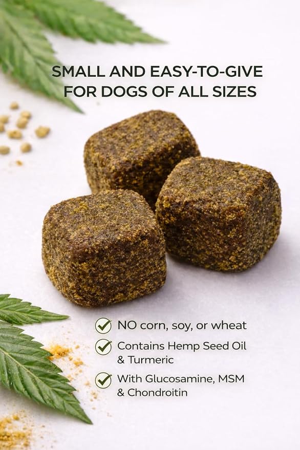 Emma + Bruno Hip & Joint Soft Chews for Dogs – Mobility Support with Glucosamine, MSM & Chondroitin, Hemp Seed Oil – Duck Flavor – 120 Soft Chews