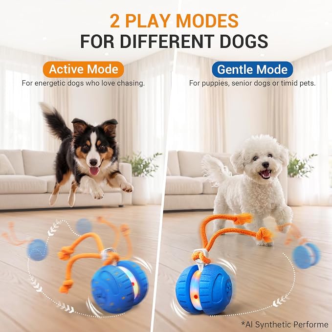 Pamlulu Interactive Dog Toys for Small & Medium Dogs, Rechargeable Motion Activated Rolling Dog Ball with 2 Speed Modes, Touch to Wake, USB-C Automatic Moving Ball for Indoor Boredom Relief