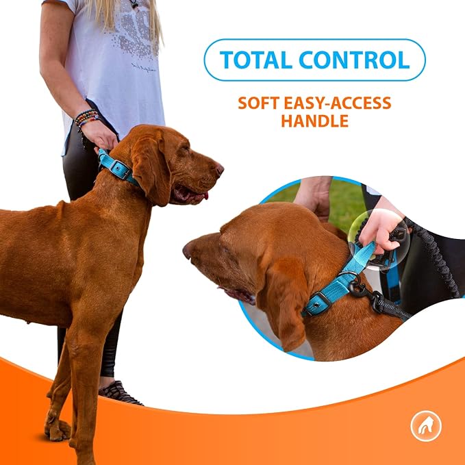 SparklyPets Heavy Duty Dog Collar with Handle for Medium and Large Dogs – Professional Collar with Reflective Stitches, Soft Handle & Nickel-Plated Buckle (Medium (14,5"~18,5"), Blue)