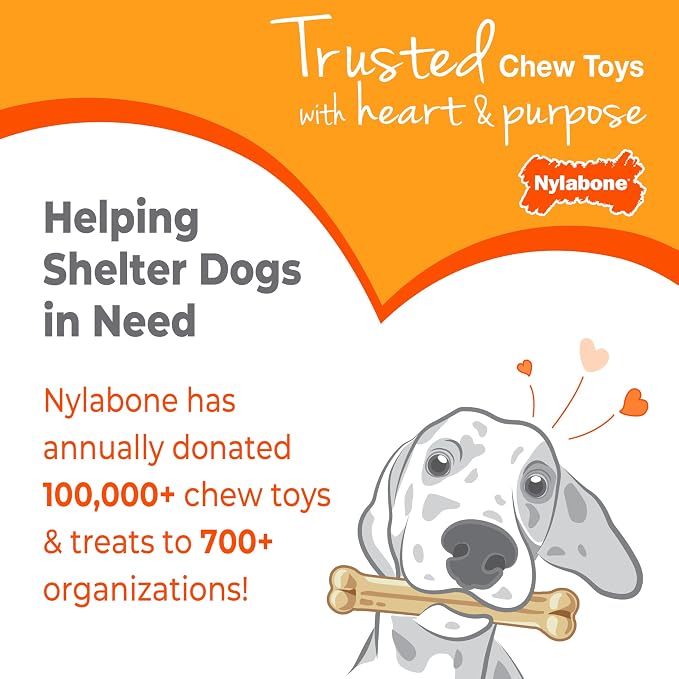 Nylabone Textured Ring Power Chew Toy for Small Dogs Up to 25 lbs | Durable dog toys for aggressive chewers, strong dog chew bones, flavor medley, textures help clean teeth