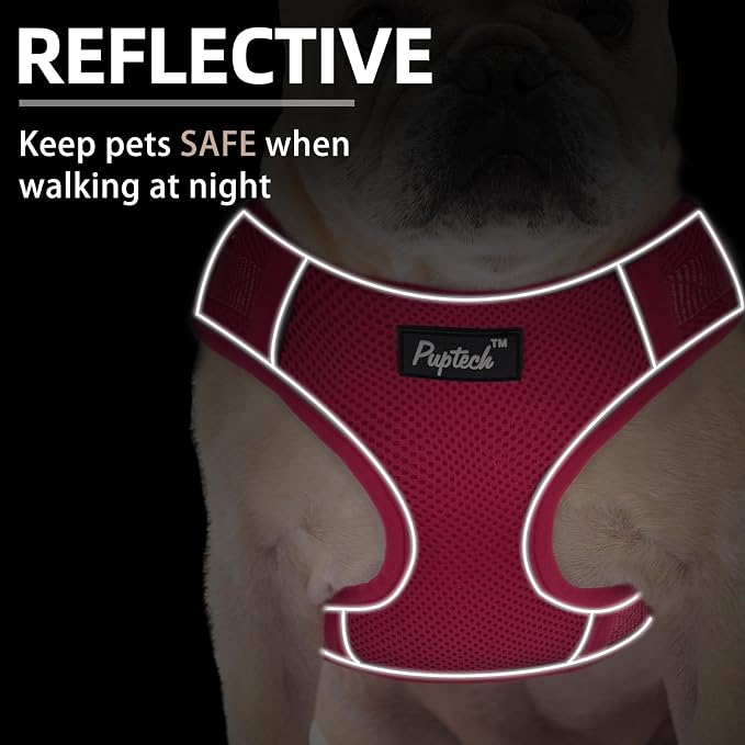 PUPTECK Small Dog Harness and Leash Set, No Pull Adjustable Puppy Cat Harness, Reflective Soft Mesh Pet Vest Small Sized, Fuchsia, M