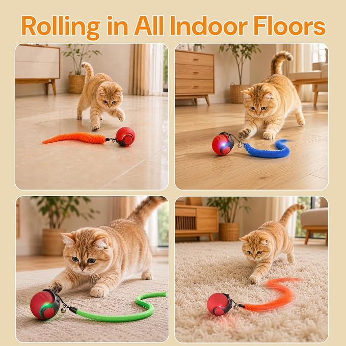 Interactive Cat Toys with Bird Sounds & 3 Speed Modes for Indoor Cats Play | Bird Sounds, 3 Speed Modes, Rechargeable Automatic Rolling, 3 Tails, Fast Charging Ball, For Indoor Cats on Hard Floor Carpet