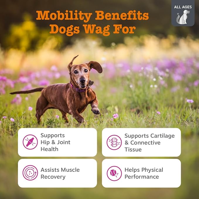 Zesty Paws Vet Strength Mobility Bites Beef & Bacon Flavor Hip & Joint Support Chews for Dogs with Glucosamine, Chondroitin, MSM, Hyaluronic Acid & Serrazimes - 90 Count (Pack of 2)