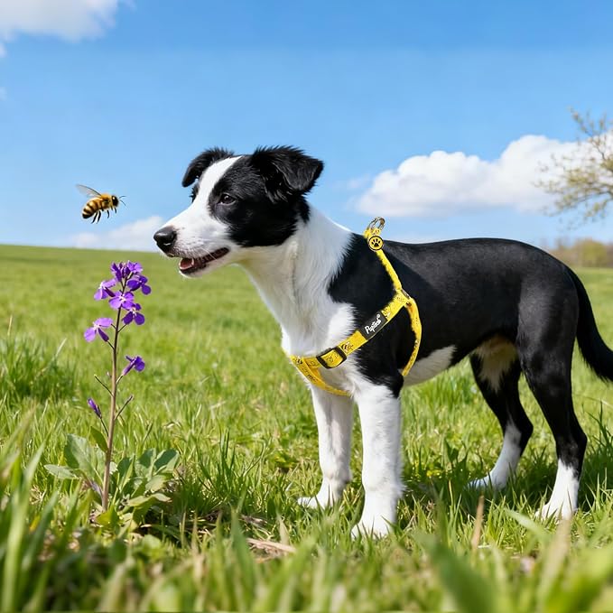 PUPTECK No Pull Dog Harness Large Sized Step-in Adjustable Puppy Vest | Soft Webbing Basic Halter with ID Tag for Outdoor Walking