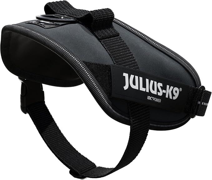 Julius-K9, 16IDC-ANT-M, IDC Powerharness, Dog Harness, Size: Mini, Anthracite