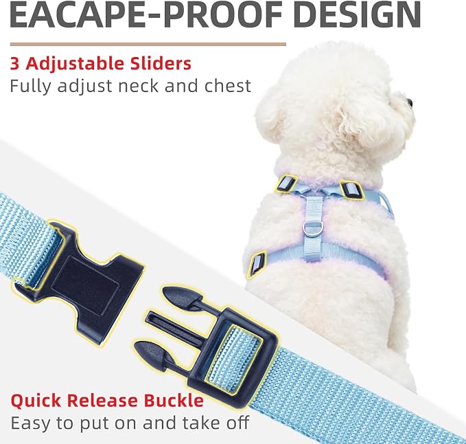 PUPTECK Dog Harness and Leash Set, No Pull Adjustable Pet Small Dog Harness, Reflective Soft Mesh Pet Vest, for Small Medium Dogs Walking, Light Blue, S