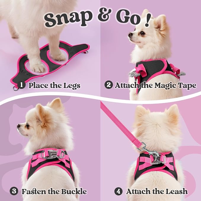 rabbitgoo Dog Harness Small Sized and Leash Set, Step in Soft Vest | Breathable Mesh, Easy Wear with Hook & Loop, Light and Reflective for Walking, Multi-colored, Black & Rose Red, M