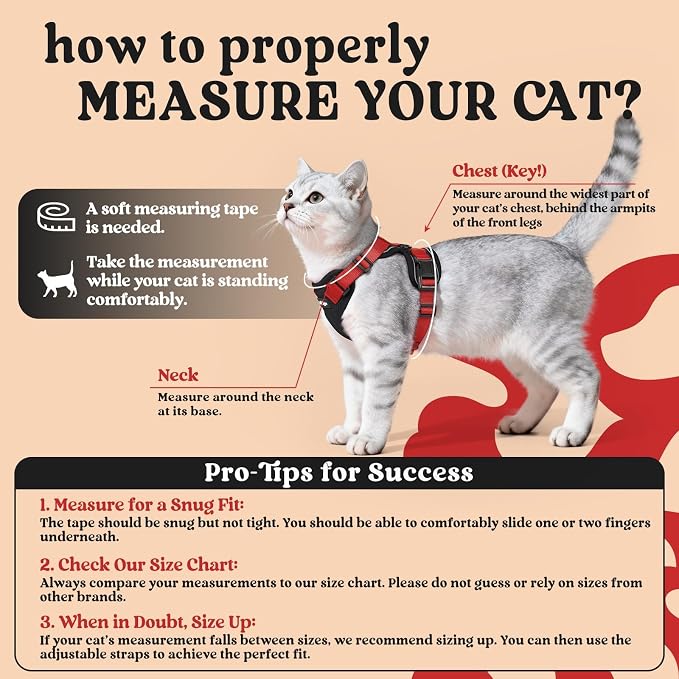 rabbitgoo Cat Harness and Leash Set, Escape Proof Vest, Black & Red | Soft Breathable Mesh, Easy Adjustable Fit, Snap Buckles, Sturdy Clip, Reflective Strips, for Kittens & Small Cats Walks, Xxs