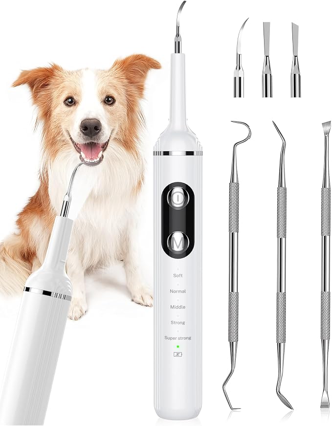 NATURE NERDS Plaque Remover for Teeth, Pet Tooth Brushing Kit, Dental Tools to Remove Plaque and Tartar, Safe for Dog and Cat, with LED Light, White