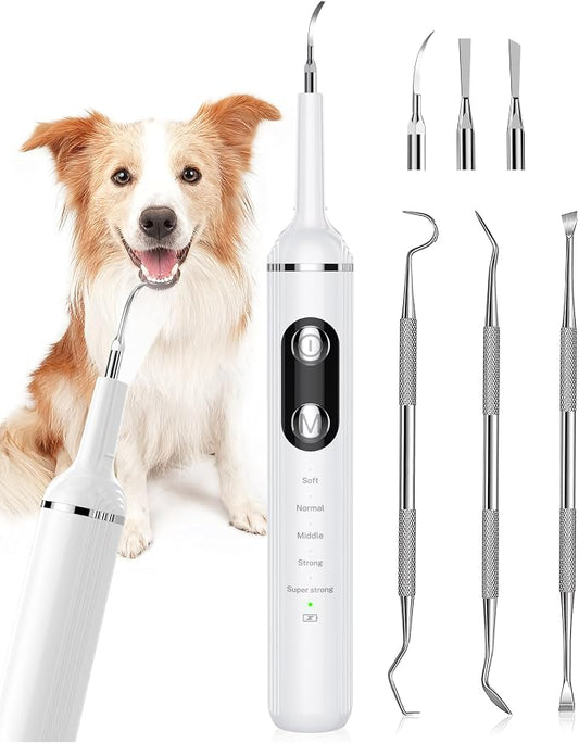 NATURE NERDS Plaque Remover for Teeth, Pet Tooth Brushing Kit, Dental Tools to Remove Plaque and Tartar, Safe for Dog and Cat, with LED Light, White