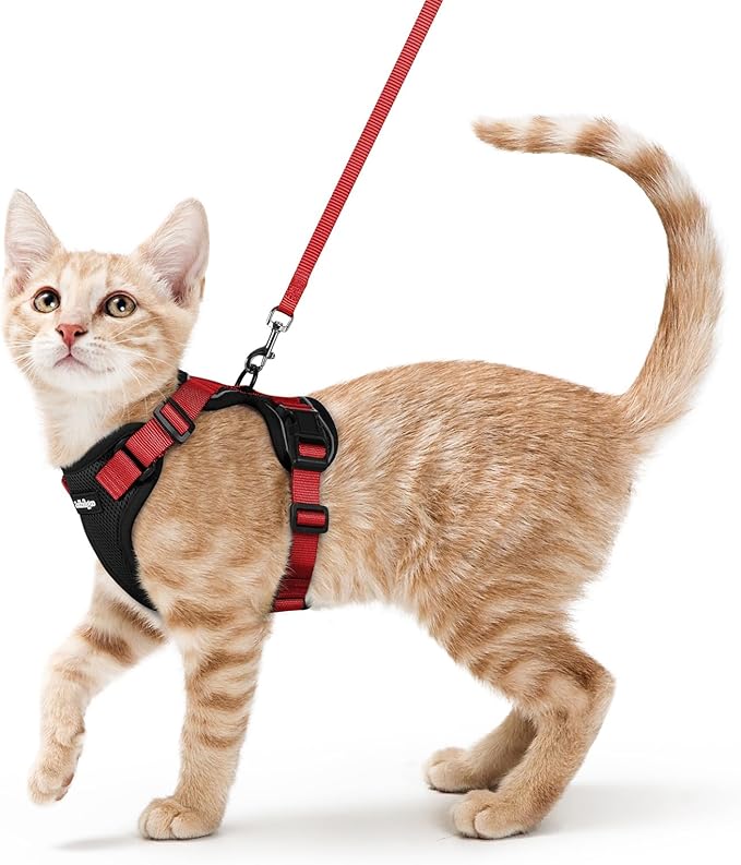 rabbitgoo Cat Harness and Leash Set, Escape Proof Vest, Black & Red | Soft Breathable Mesh, Easy Adjustable Fit, Snap Buckles, Sturdy Clip, Reflective Strips, for Small & Average Cats Walks, Xs