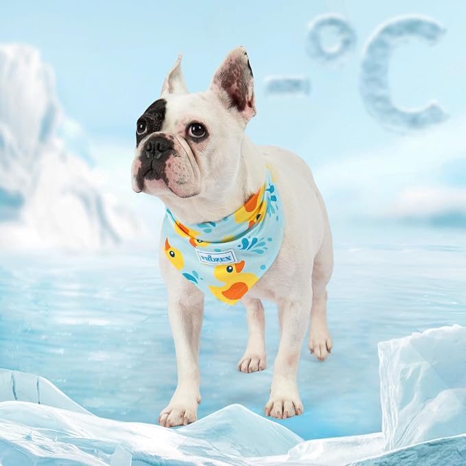 KYEESE 2Pack Dog Cooling Bandana, 20 inches, 2-Pack, Small, Blue