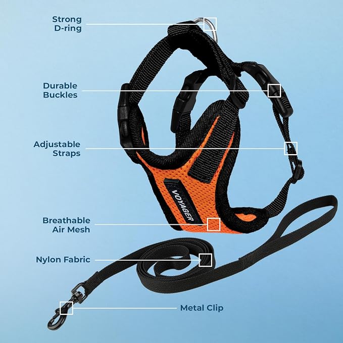 Voyager Escape-Proof Step-in Lock Cat Harness & 5ft Neoprene-Handle Leash Set All-Weather Mesh with Reflective Stitching for Small to Large Cats by Best Pet Supplies, Orange/Black Trim, S