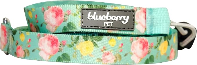 Blueberry Pet Rose Garden Dog Leash, Mint Green Floral Print, 5 ft x 5/8”, Small, Leashes for Dogs
