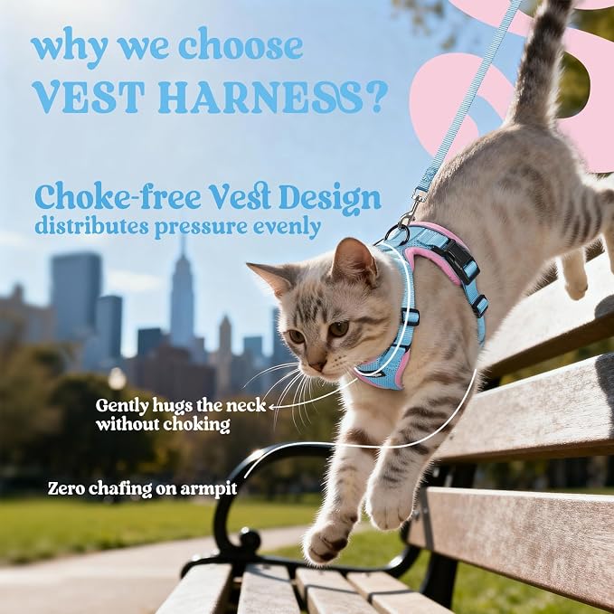 rabbitgoo Cat Harness and Leash Set, Escape Proof Vest, Light Blue & Pink | Soft Breathable Mesh, Easy Adjustable Fit, Snap Buckles, Sturdy Clip, Reflective Strips, for Kittens & Small Cats Walks, Xxs