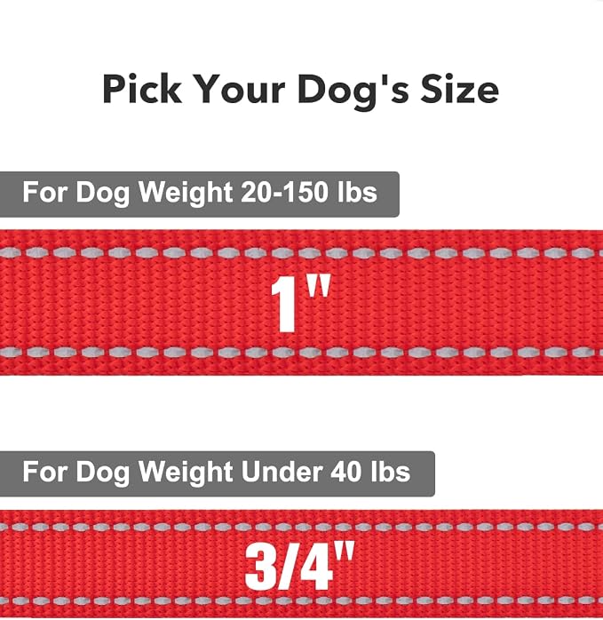 Taglory Reflective Dog Leash for Small Dogs, 3/4in x 5ft, Red | Ideal for Night Walking, Strong for Sudden Pulls, Lightweight & Gentle on the Neck, Soft Padded Handle