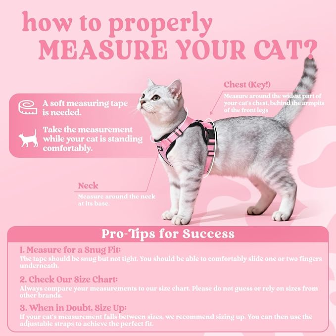 rabbitgoo Cat Harness and Leash Set, Escape Proof Vest, Pink | Soft Breathable Mesh, Easy Adjustable Fit, Snap Buckles, Sturdy Clip, Reflective Strips, for Average Cats Walks, S