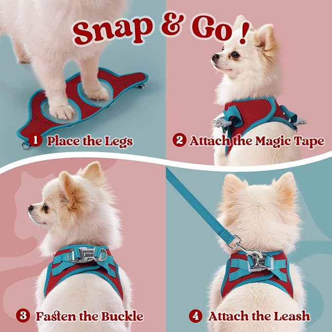 rabbitgoo Dog Harness Small Sized and Leash Set, Step in Soft Vest | Breathable Mesh, Easy Wear with Hook & Loop, Light and Reflective for Walking, Multi-colored, Red & Teal, S