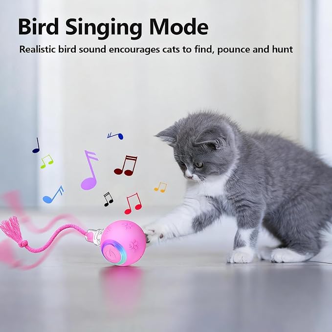 Speed 2.0 Tail Interactive Cat Toys, Rechargeable Ball for Indoor Cats | Motion-Activated Rolling Ball with Chirping Sounds, Cat Toys Interactive for Kittens and Adult Cats, Enrichment and Exercise