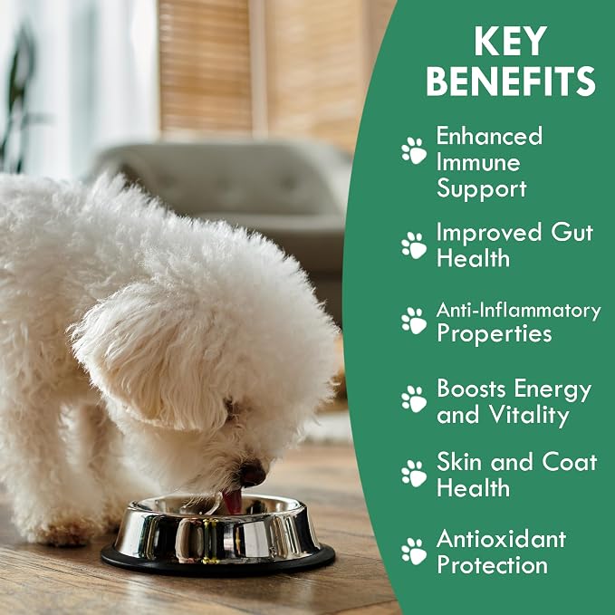 Holistic Bin Canine Super Immune Blend | Nutrient-Rich Dog Food Toppers, Plant-Based Supplements for Pets | Greens, Mushrooms and Probiotic Wellness Blend | Ideal for Aging Dogs | Immune Powder (100g)