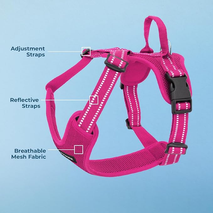 Air Frontier Mesh Dog Harness with Steel Leash D-Ring, Reflective Stitching, and Lightweight Breathable No-Pull Design, Adjustable Neck and Chest Straps for Small to Large Breeds - FSW, S