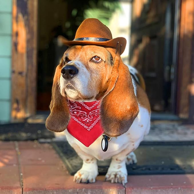 Dog Cowboy Hat & Bandana Scarf (Coffee, Large, Large