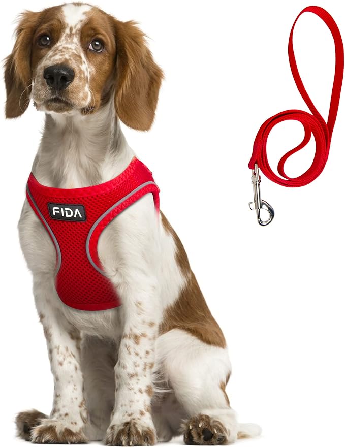 Fida Comfy Dog Harness with Leash, Soft Puppy Vest Escape Proof, Breathable Lightweight Soft Mesh, Adjustable Reflective Step-in Harness for Small & Medium Pet Walking (L, Red)